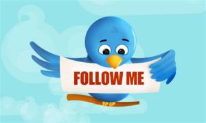 twitter_bird_follow_me_small_b